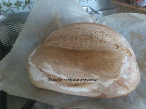 pane filone tante pieghe (11)