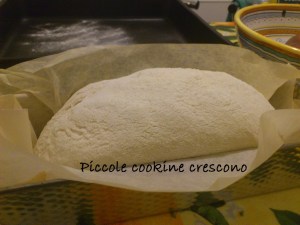 pane filone tante pieghe (4)