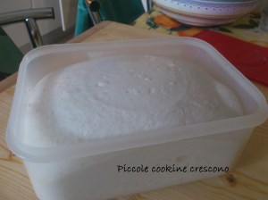 pane filone tante pieghe (6)