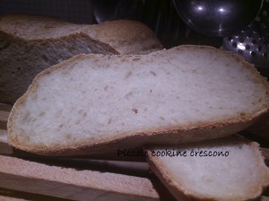 pane filone tante pieghe (7)