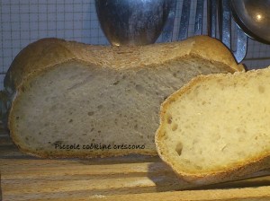 pane filone tante pieghe (8)