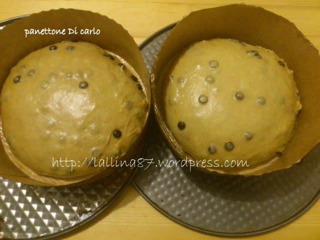 panettone di carlo 20.12.2012 (4)