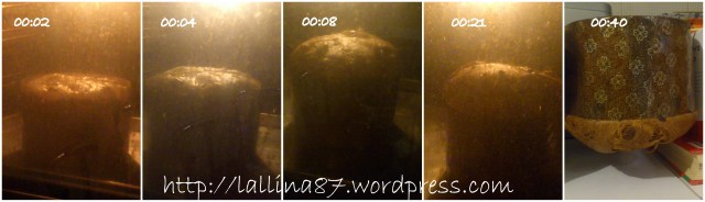 panettone di carlo 20.123