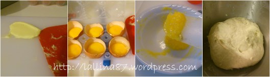 panettone di carlo 20.124