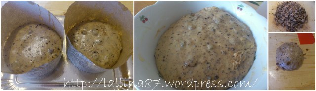 panettone di carlo 20.126