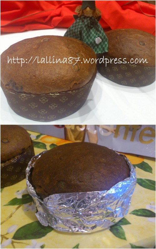 panettone di carlo 20.128