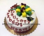 torta laurea noemi coccarda farfalle (17)