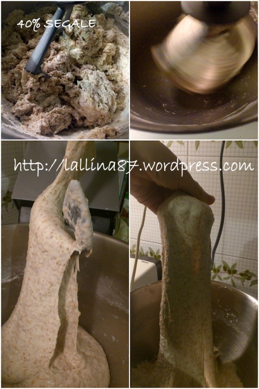 40% segale 06-02-2013 18-38-08 683x1024