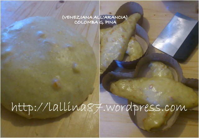 veneziana arancia in colomba G