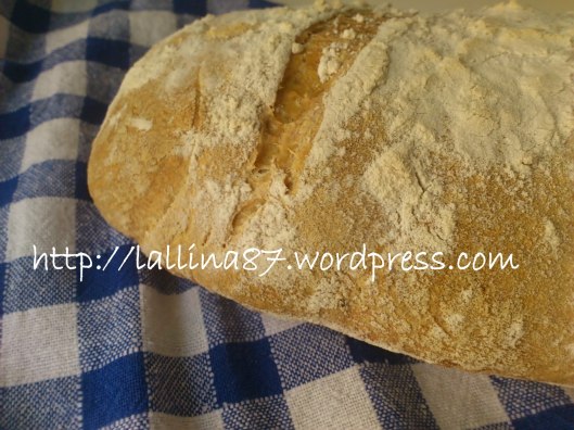 filone semola poolish frigo (5)