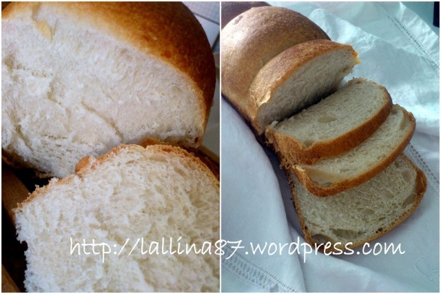 pan bauletto nico-002