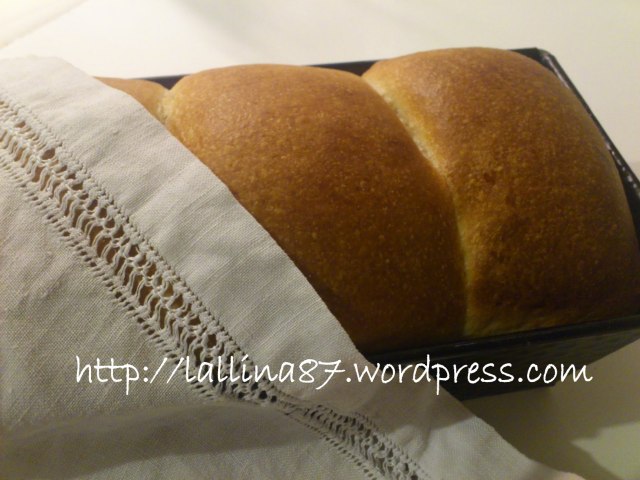 pan bauletto nico (10)