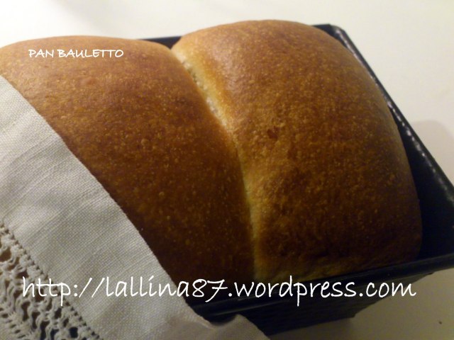 pan bauletto nico (11)