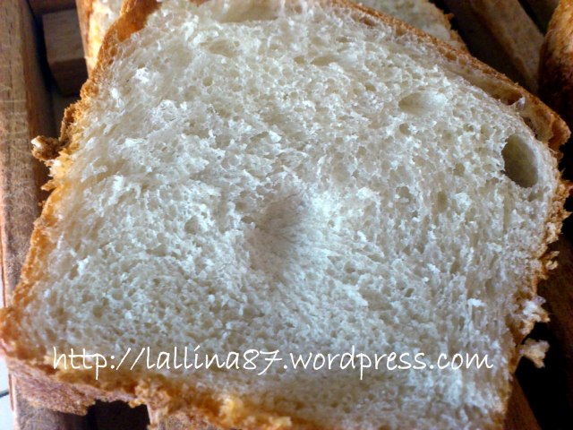 pan bauletto nico (4)