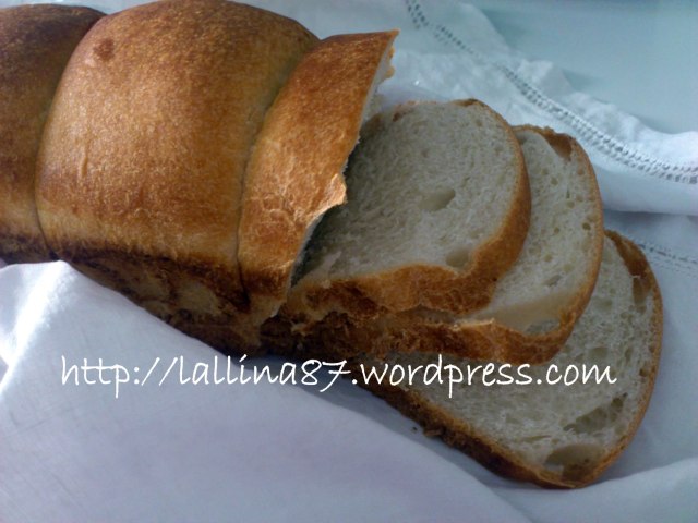 pan bauletto nico (5)