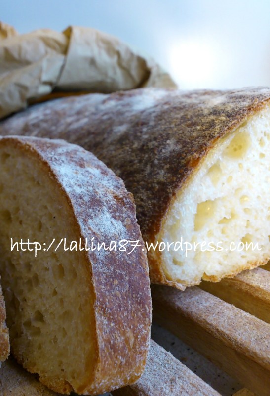 ciabattone lunghissima lievitazione 3 farine (10)