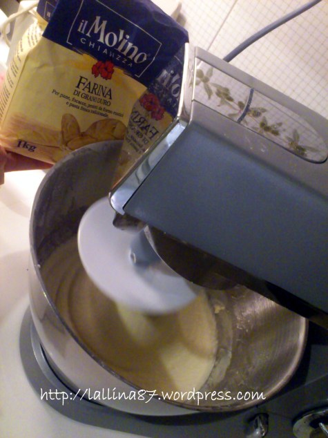 ciabattone lunghissima lievitazione 3 farine (2)