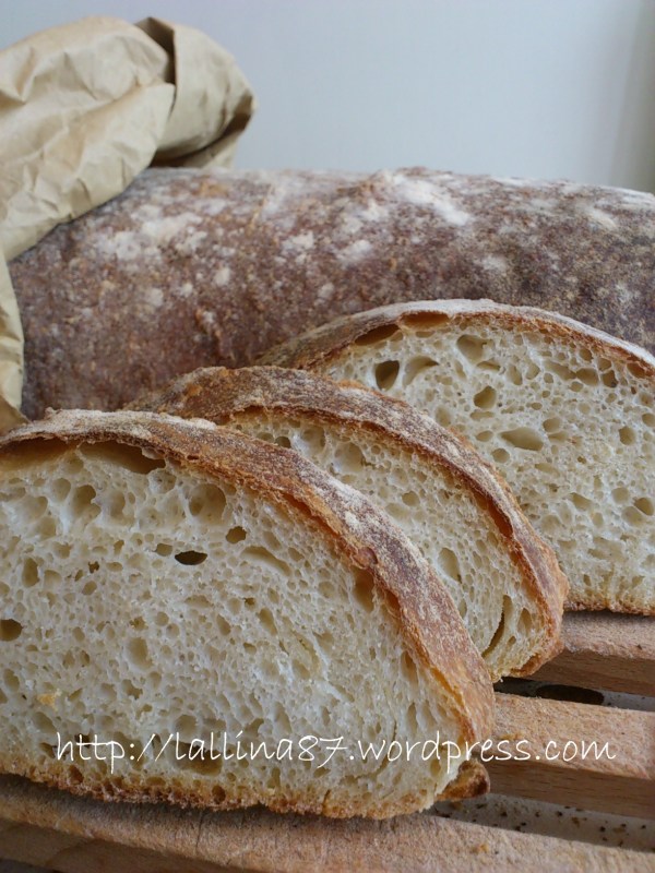 ciabattone lunghissima lievitazione 3 farine (6)