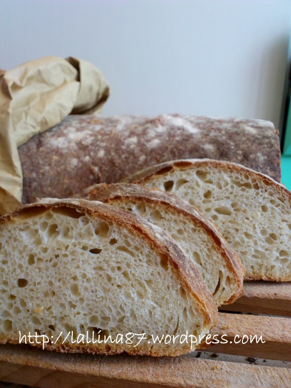 ciabattone lunghissima lievitazione 3 farine (7)