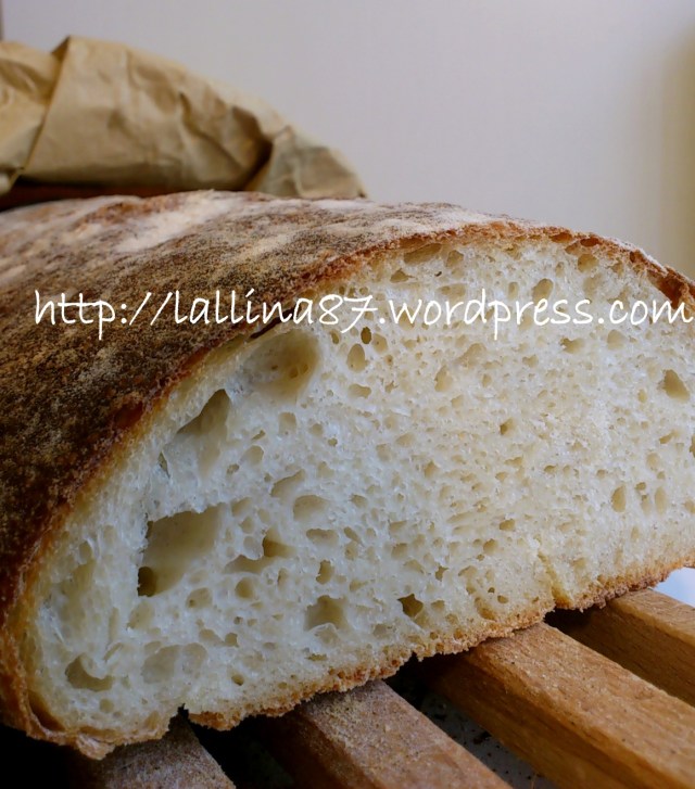 ciabattone lunghissima lievitazione 3 farine (9)